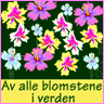 blomst