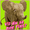 elefant